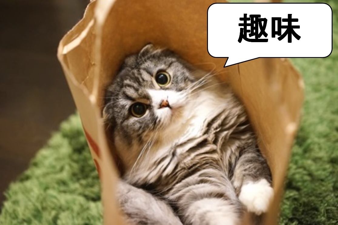 お家でスト２がネット対戦出来る ストリートファイター 30th アニバーサリーコレクション インターナショナル 発売だってーーー マイマイののほほんライフ